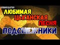 Я принесу тебе цветы и положу под окнами | поют цыгане