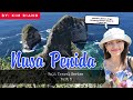 NUSA PENIDA | What to Expect | Bali Travel Guide