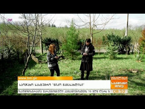 საოჯახო სასტუმრო - \'ნიკო მამასახლისი\'