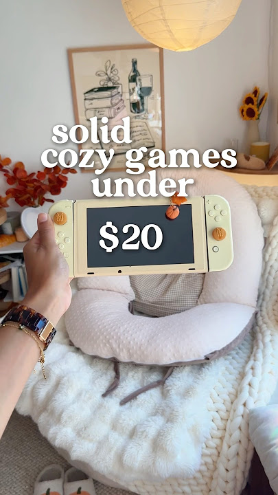 cozy games under $20🤎