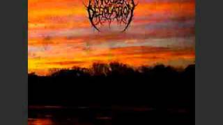 Video thumbnail of "Woods of Desolation- Enshrouded by Solitude (DSBM)"