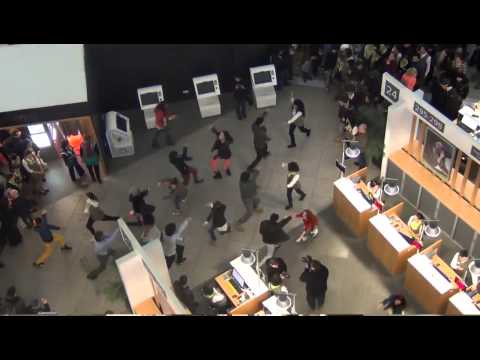 საქართველოს ბანკის ფლეშმობი