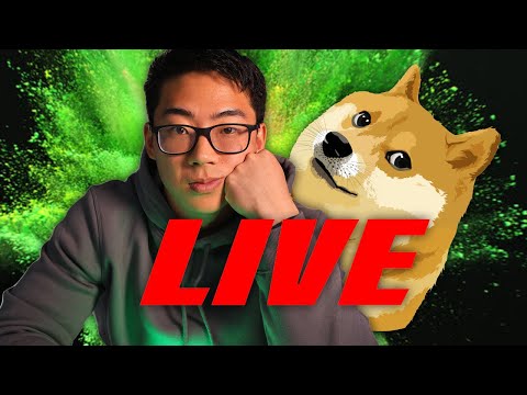 DogeCoin SNL Livestream REACTION