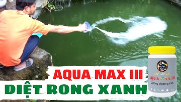 Hướng Dẫn Trị Rong Xanh, Tảo Nâu Hồ Cá Rồng, Cá Koi | Aqua Max 3 | Hoàng Lam Arowana