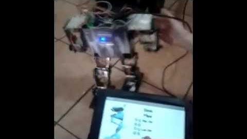 Robot Bípedo ASIMOV