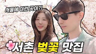 서촌 팝콘이 다 튀었다 랜선 벚꽃 VLOG ??