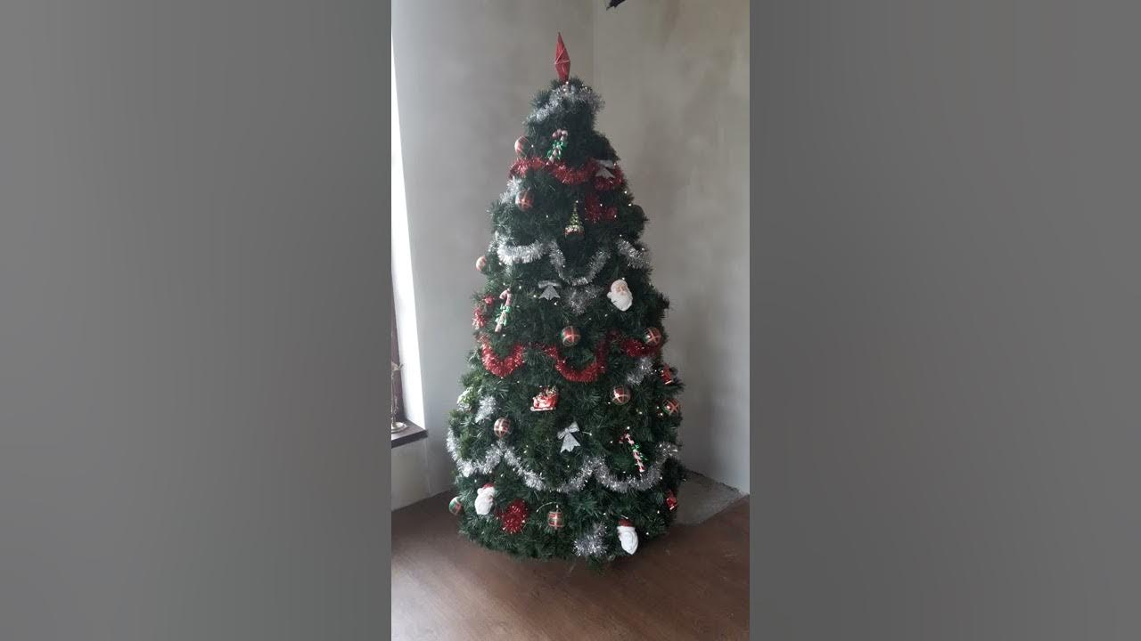 De zingende/levende kerstboom YouTube