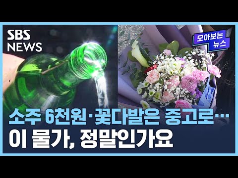 &amp;quot;올라도 너무 오른다&amp;quot;…물가 고공행진에 서민들 &amp;#39;울상&amp;#39; / SBS / 모아보는 뉴스