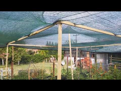 Βίντεο: Κλειστά κιόσκια (60 φωτογραφίες): ένα καλυμμένο περίπτερο με θερμική επεξεργασία, πώς να διακοσμήσετε το εσωτερικό απλά και όμορφα