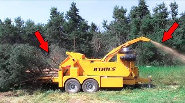 Dangerous Tree cutting down skills ! Huge Cedar Trees Felling Climbing with Chainsaw Machines