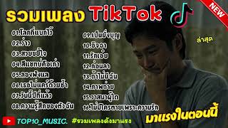 รวมเพลงฮิตในติ๊กต๊อก รวมเพลงในTikTokล่าสุด เพราะๆ 1 ชั่วโมง