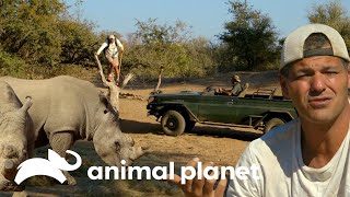 Darran rescata a Frank de inminente ataque de rinocerontes | Wild Frank vs Darran | Animal Planet