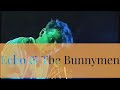 Capture de la vidéo Echo & The Bunnymen Itv Documentary 'Meet The Bunnymen' #Echoandthebunnymen