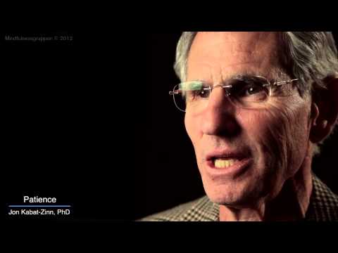 Jon Kabat-Zinn Mindfulness 9 attitudes - patience