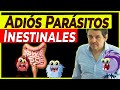 Desparasitación Intestinal PROFUNDA