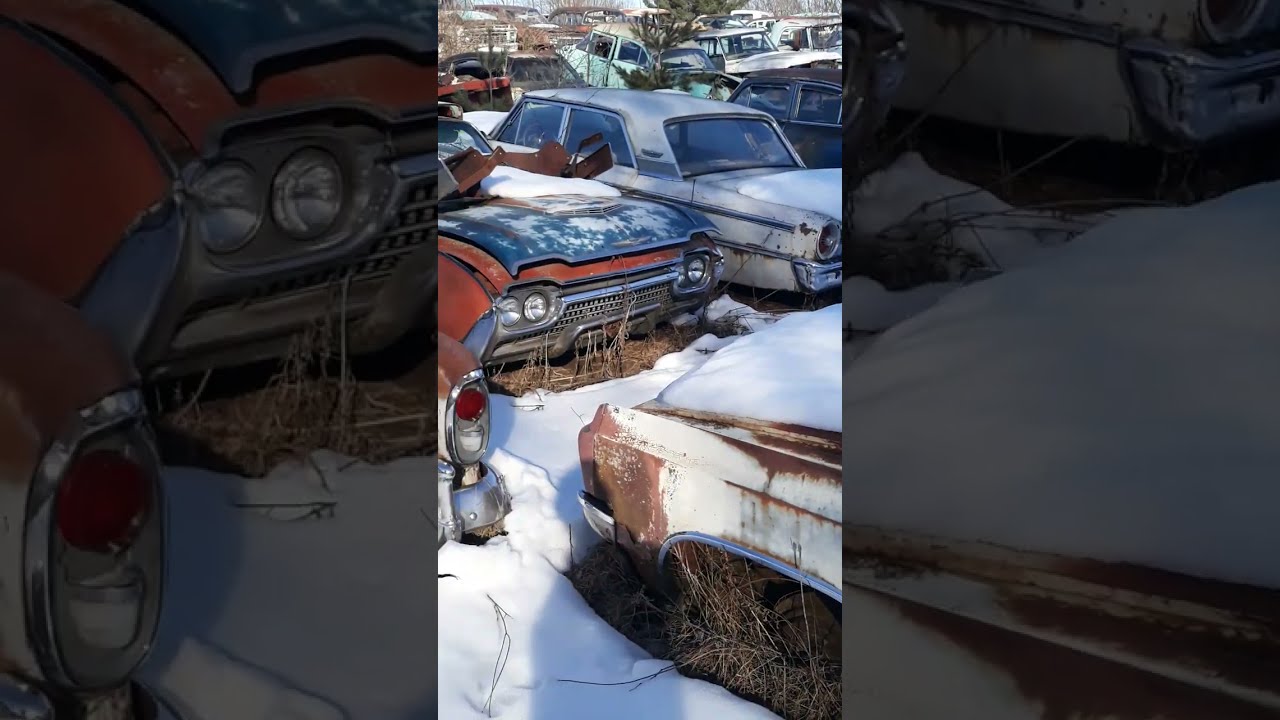 Walking around a old salvage yard looking for classic cars/junkyard