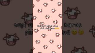 Kumpulan Vidio Tik Tok Shinbi House3