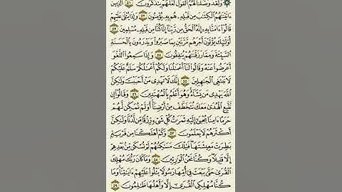 سورة القصص من الآية ٥١ إلى الآية ٥٩بصوت القارئ ماهر المعيقلي