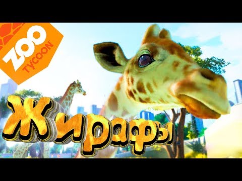 Видео: Жирафы и Черные Соколы - ZOO Tycoon - Прохождение #5