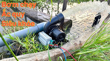 Chỉ cần 1000đ tiền điện là bơm nước thoải mái ! Máy bơm nước 12v không chổi than .