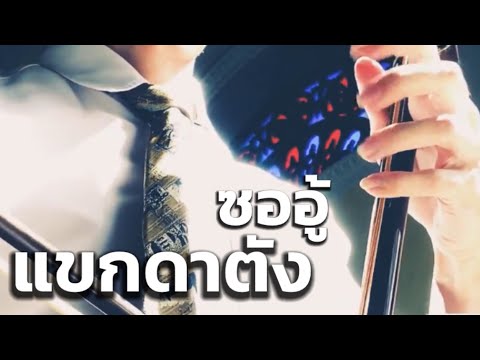 แขกดาตัง ซออู้