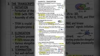 Eukaryotic Transcription @ShikshaNovaX