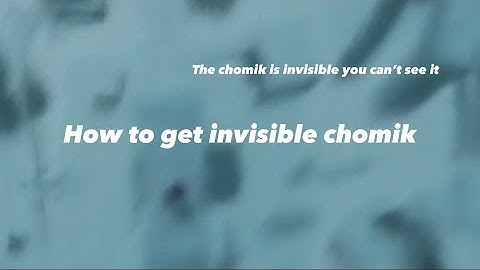 How to get invisible chomik in FTC