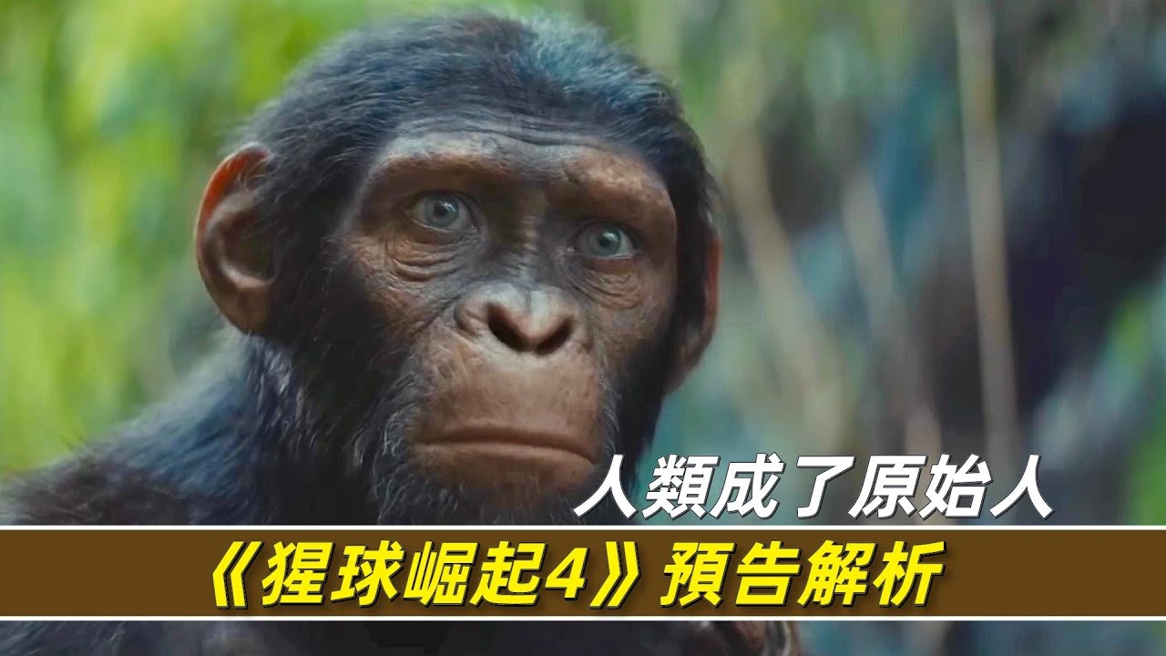 揭示高度智能猩猩如何改变未来世界的生存与斗争