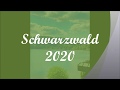 Schwarzwald 2020 #MusikzumStreicheln  #JohannesR.Köhler