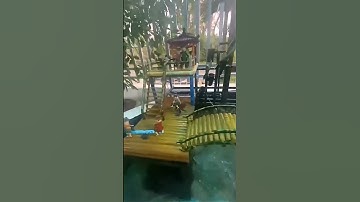 Tiểu cảnh guồng nước đẹp quá #shorts #short #shortsvideo #shortsfeed #share #shortvideos