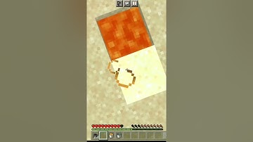 Werid: Things About: Minecraft: Logic.. :Part (1)