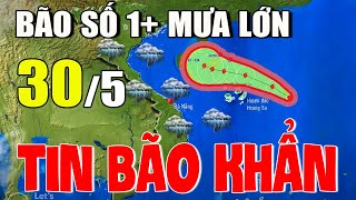 Dự báo thời tiết hôm nay mới nhất ngày 30\/5| Dự báo thời tiết 3 ngày tới#thờitiết