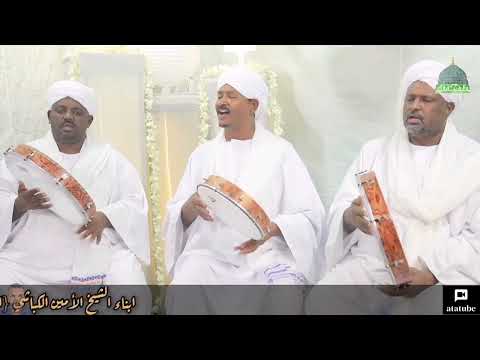 مدحة الصادق المامون