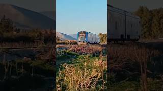 DMU TUNIS JENDOUBA🚆🇹🇳#shorts #shortvideo #train #railtrack #railwaycontent #railway #railvlogger