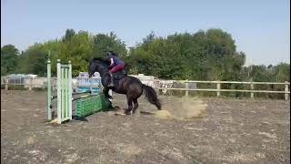 Advert reference - 317964