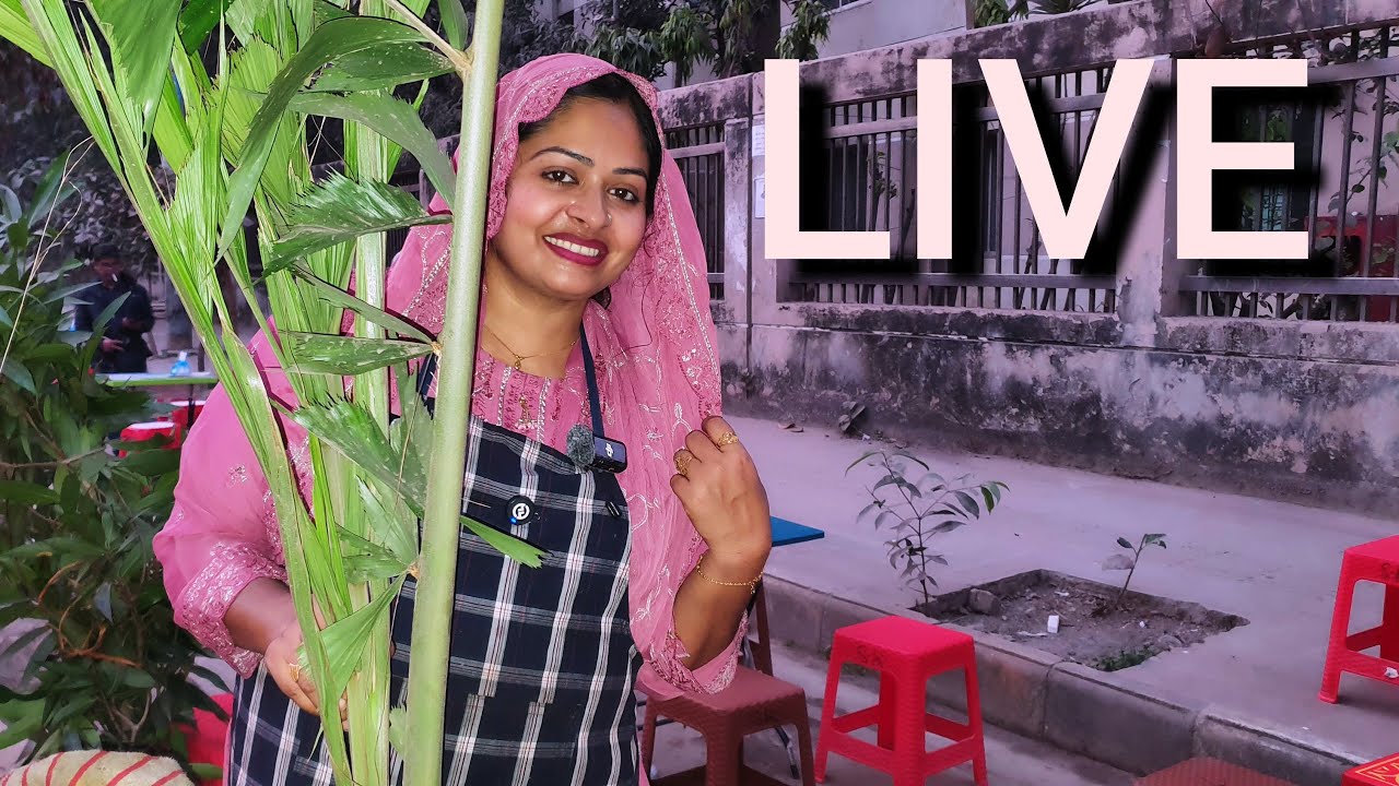 Alam Media BD196 is live!,সিমি আপুর দোকানের সামনে থেকে