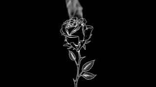 in a blackout (slowed   reverb) hamilton leithauser   rostam