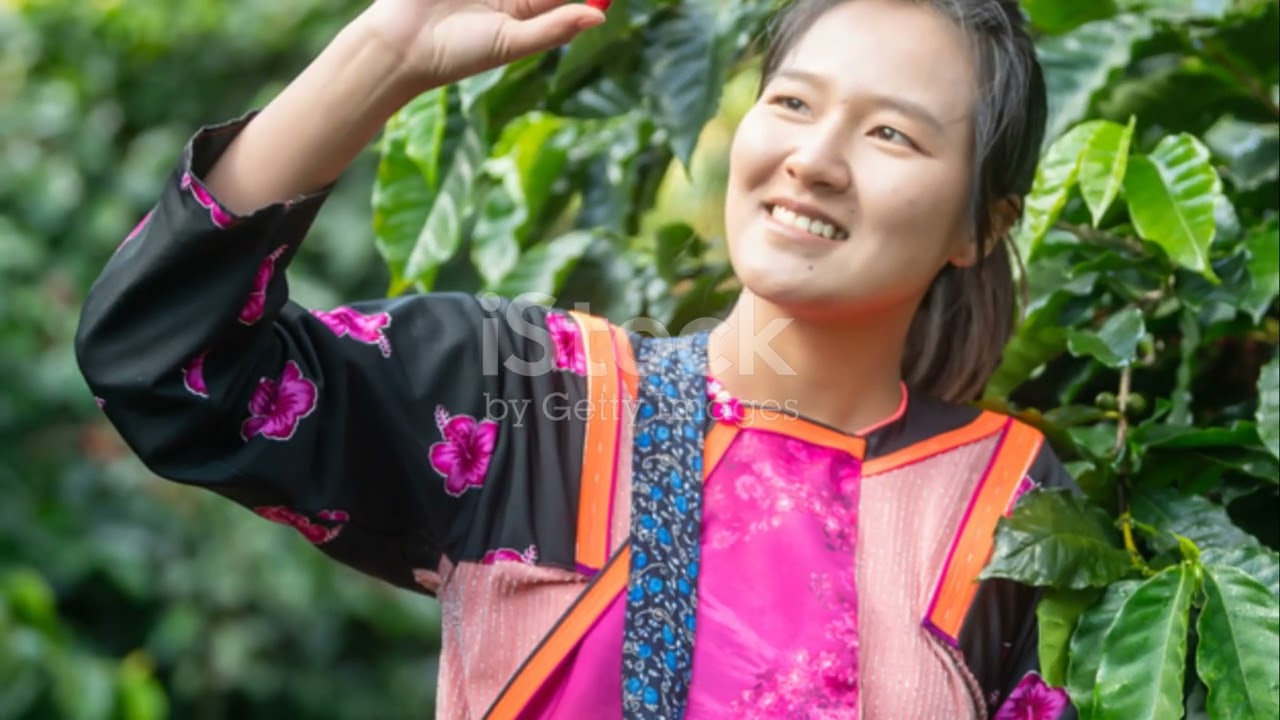 Why choose clean and organic coffee?