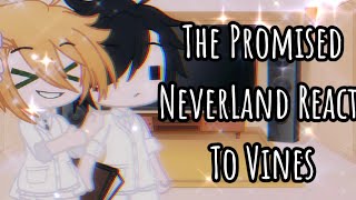 (No Manga Spoliers) 🎶The Promised NeverLand Reacts To Vines🎶//Gacha Club (TPN)