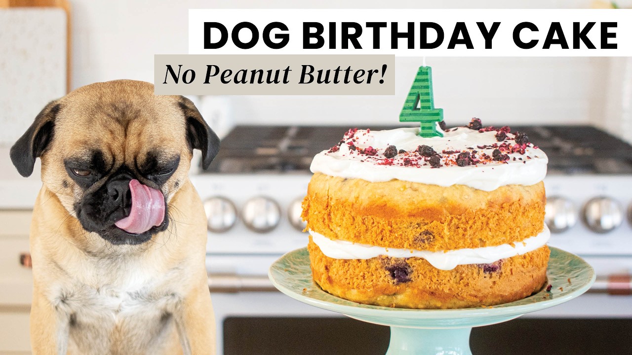 Dog Birthday Cake Without Peanut Butter - YouTube