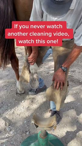 The Only Cleaning You Need 🧼 #farrier #horses #horseshoe #hoofcare #hooftrimming #shorts