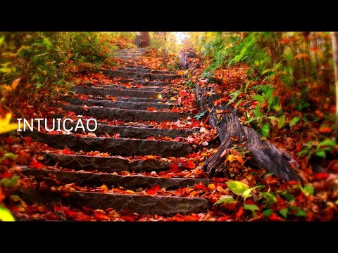 Capa de Ponto de reflexão #10 - Intuição
