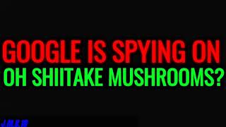 Google Is Spying On Oh Shiitake Mushrooms? Bad News-Remake