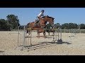 Fte du club  puissance obstacle jusqu 1m50