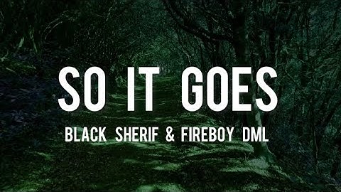 Black Sherif ft. Fireboy DML - So It Goes (lyrics)