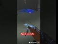 Meta Quest Zombie Mayhem | Bonelab VR Short  #bonelab #vr #games