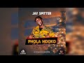 Phola Mdoko Uyashisa - JAY SPITTER (Official Audio)