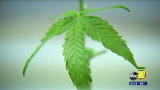 Fresno gets educated on cannabis industry abc30 com