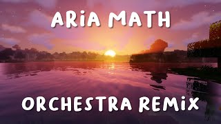 C418 - Aria Math [Orchestral Remix]