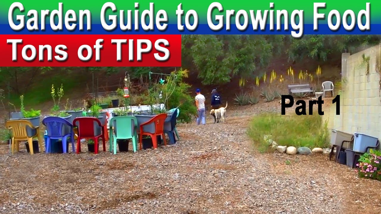 Garden Tour, SO MUCH MORE Spring GROWING TIPS, Growing Food Creating